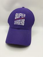 Northern Superchargers The Hundred New Era 9FORTY Cricket Cap Adjustable Purple
