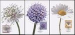 Liechtenstein 2015 Meadow Flowers (Maxi Cards Set. Mint)