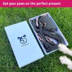 Hand Made Tweed dog collar and lead set - Rose Gold (Medium/L) - In a Gift Box