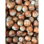 Hazelnuts in Shells - For Birds, Squirrels & Wildlife