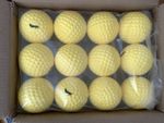 Official R66T Academy Cricket Ball Feeder Balls