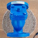 ALBION ART 185 DN50 PN16 Flanged Y-Strainer 2 Outlet Cast Iron SS Screen