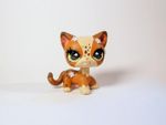 Littlest Pet Shop ooak custom hand-painted shorthair cat