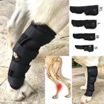 PET Dog Legs Brace Front Elbow for Pain Support Injury Paw Brace Wrap Protectors