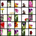 10 Florist Flower Message Cards Birthday Anniversary Mothers Funeral Blank UK