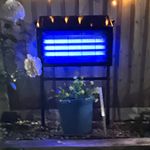 Palone Solar Powered Outdoor Bug Zapper Lantern, Black, 1 Pack