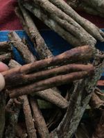 Catappa Bark Tubes Almond Bark Healthy Aquarium Water Shrimp  1KG Free Shipping