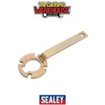 Sealey VSE6140 Diesel/Petrol Crankshaft Holding Tool - Volvo, Ford - Belt D