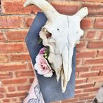 Taxidermy Floral Sheep Skull Coffin Plaque