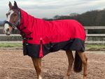 TURNER EQUESTRIAN Combo Waterproof 600d Mediumweight Turnout Rug  200g Fill