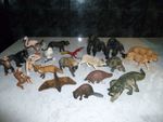 SCHLEICH ANIMALS X21 SOME RARE HYENA PARROT BAT BEAVER ARMADILLO AND LOTS MORE