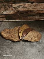 Small Premium Indian Almond Leaves (Catappa) 10-15cm Blackwater Aquarium