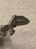 ‘Fish On The Line’ Decorative Bookbinding Hand Tool For Gilding Books