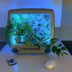 iMac G3 Slot Loader Graphite Colour - UNIQUE ILLUMINATED ARTIFICIAL TERRARIUM