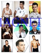 JOE JONAS #1,the jonas brothers,9pc MAGNET SET