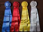 "THE ARIAT AWARD" HITS INDIO DESERT CIRCUIT Horse Show Ribbons Awards
