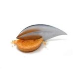 Studio William 95mm Leaf Dessert Spoons Set Of 12 BNIP 
