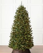 Balsam Hill Fraser Fir Tree 6.5ft with LED lights