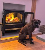 Opti-myst Electric Stove Fire 3D Flame Effect Remote Black 2kW Freestanding