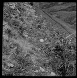 Magic Lantern Slide NEST & EGGS OF BUZZARD C1920 PHOTO BIRD ORNITHOLOGY