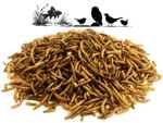 Dried Mealworm Worms Wildlife Garden Bird Food Fish Food Tasty