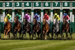 The Odds Master Horse Racing System
