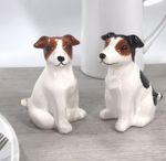 Jack Russell Salt Pepper Shakers Ceramic Cruet Set Dog Lover Gift Boxed