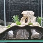 Aquarium Cave Decoration Underwater Palace Perfect For Fish Shrimp Betta Pleco