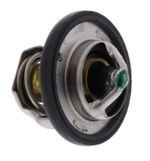 Thermostat For Suzuki SV 650 S 2005