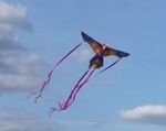 Beautiful Large Kite for Children and Adults over 8