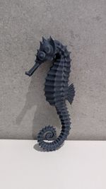 Light Pull Handle Seahorse Bathroom Accessories