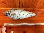 Hand Blown Art Glass Fish Figurine White Blue Yellow Abstract Swirl