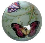 Leonardo Glass Butterfly Round Paperweight with Box