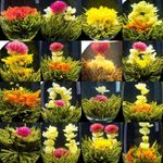 16 Kinds of Flower Handmade Blooming Flower Tea Crafts Herbal Flower Tea