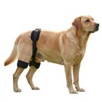 Dog Hip Brace for Large Dogs - Hip Dysplasia & Arthritis Pain Relief Harness
