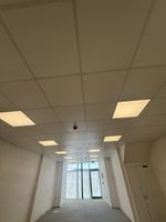 Suspended Ceiling