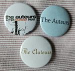 The Auteurs three 25mm button badges inc 'After Murder Park'. Free UK postage!