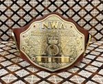 NWA BIG GOLD Championship Title belt Belt Multi Layered 8mm Zinc 3D