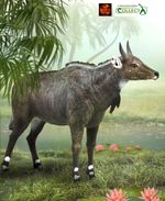 Nilgai Antelope Wildlife Toy Model Figure by CollectA 88764 New