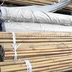 2FT 3FT 4FT 5FT 6FT 7FT 8FT BAMBOO GARDEN CANES STRONG THICK QUALITY SUPPORT