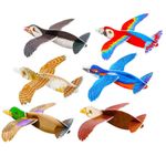 Birds Flying Glider Toys for Children. Kids Toys Party Bag Fillers- 24 Pack