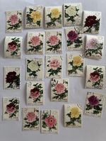 China Z1964 Promise Values Flower Fine