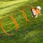 Navaris Dog Agility Training Hoops 3-Pack – 50cm Ring Jump Set with Stakes– NEW