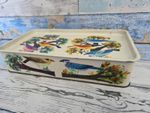 Vintage Cadburys Bournville Biscuit Tin - Exotics Bird Design - 1960's 