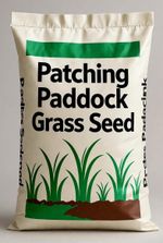 Gateway & Patching Paddock Grass Seed Uncertified 10Kg Fast Growing Repair