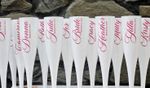 White Plastic Champagne Flutes Personalised Hen Do Weddings Bridal Shower