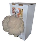 Lions Mane Mushroom Grow Kit, Gift Boxed, Fast Growing XXL 100% GrowGuarantee.