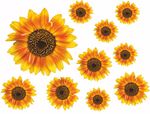 SunFlower Decals Car Stickers Graphics Nursery Wall Window Decorations Art