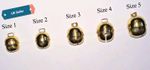 Pair of Falconry Bells Golden Acorn Bell (All Sizes Available) Great Sound.