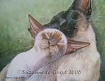 Siamese Cat art print large from original painting sealpoint by Suzanne Le Good